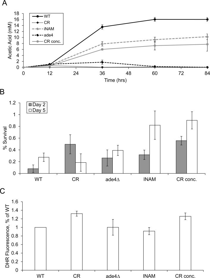 Effects of CLS-extending growth conditions on extracellular acetic acid accumulation and resistance to exogenous acetic acid