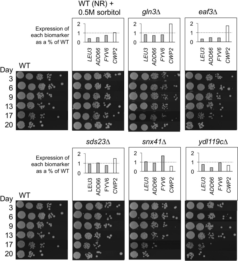 Randomized blinded experiment to test utility of CLS extension biomarkers