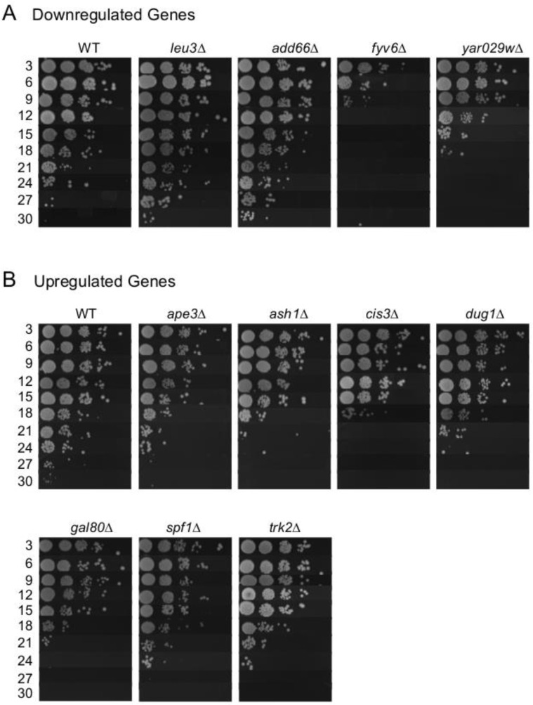 Effects of deleting putative expression biomarker genes on CLS