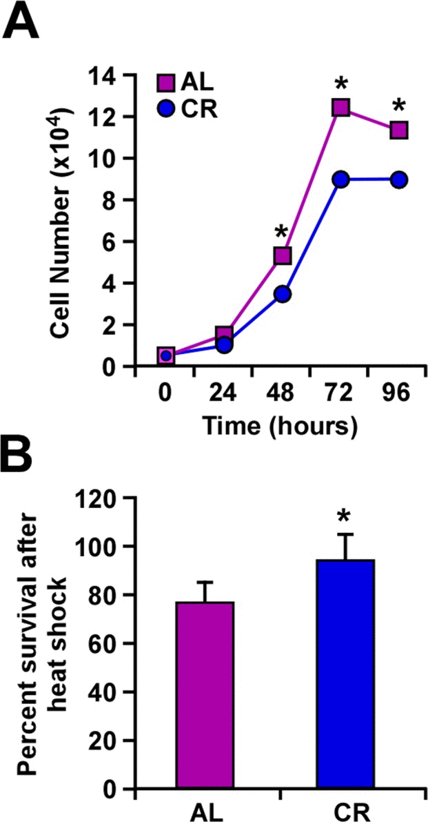 Caloric restriction slows cellular growth and improves response to heat shock