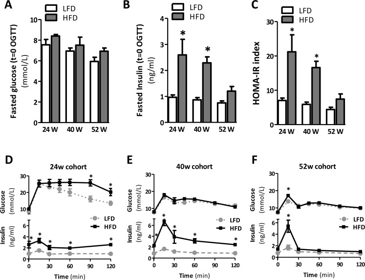 Prolonged HFD is associated with IR after 24 and 40 weeks but not after 52 weeks of HFD