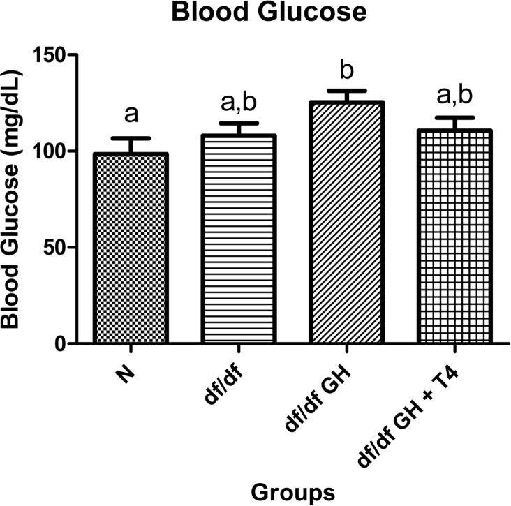 Blood glucose comparison of 8 week old female Normal mice (N, n=10), Ames dwarf mice (df/df, n=10), Ames dwarf mice treated with GH (df/df GH, n=10), and Ames dwarf mice treated with both GH and T4 (df/df GH + T4, n=8). Groups that do not share a superscript are different with statistical significance (p 