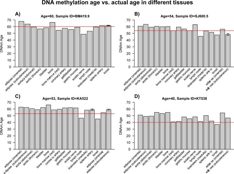 DNA methylation ages of various tissues from four middle-aged individuals