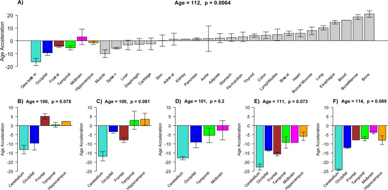 Epigenetic age acceleration in tissues from individual centenarians