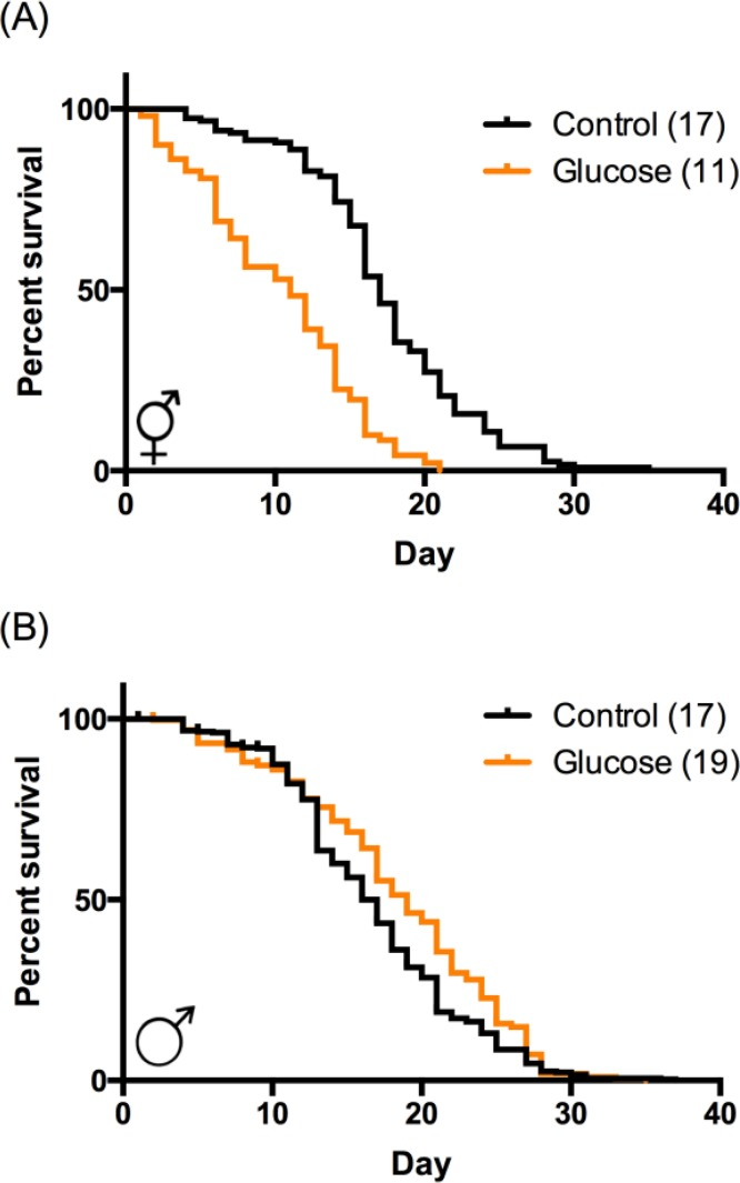 High‐glucose diet regulates lifespan in a sex‐specific manner. (A) In hermaphrodites, high‐glucose diet (orange) reduced median and maximum lifespan compared to control (black). p B) In males, high‐glucose diet increased median lifespan (p Table S1.