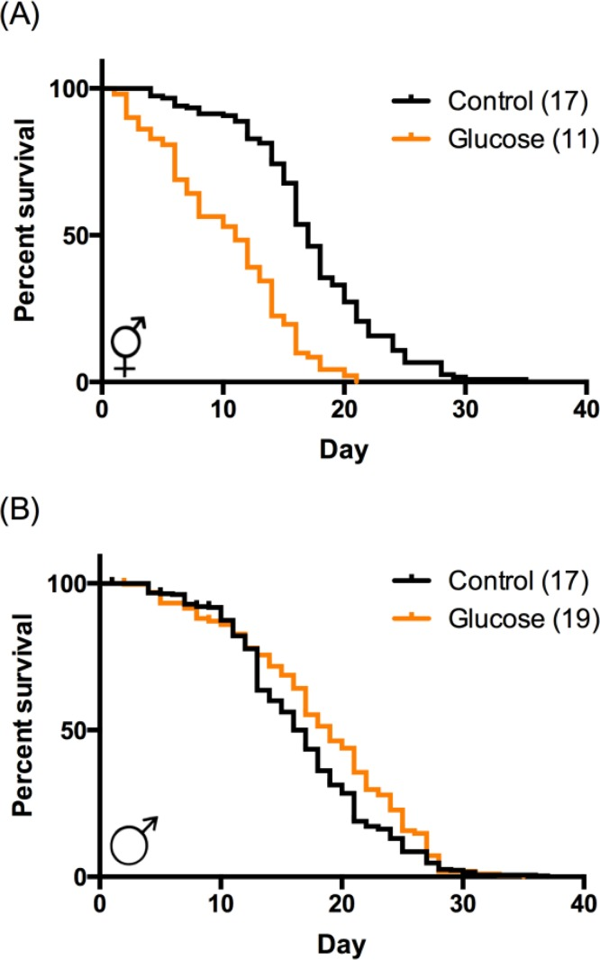 c elegan more lipid lifespan High-glucose diets have sex-specific effects on aging in C. elegans: toxic to hermaphrodites but beneficial to males A C. elegans Thermosensory Circuit
