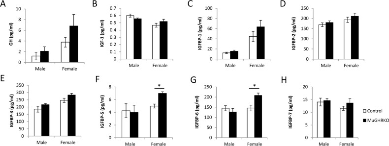 Effects of muscle-specific disruption of GHR on the GH/IGF-1 axis