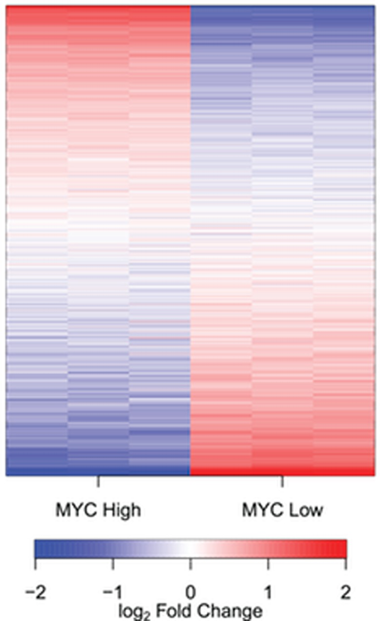 MYC regulates the expression of noncoding (nc) RNAs