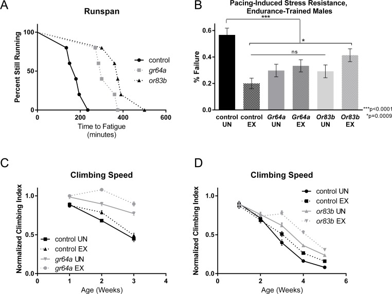 Sensory receptor mutations increase exercise capacity