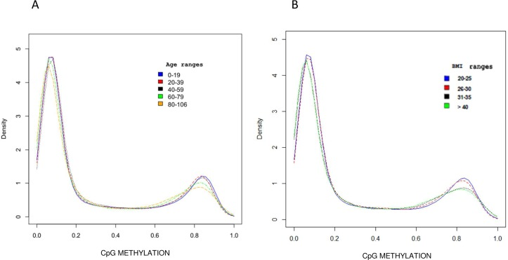 DNA Methylation profile distribution