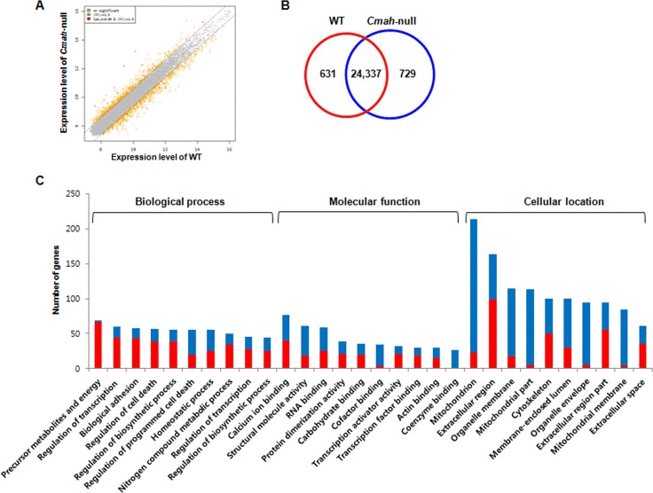 Gene expression profile in cochlea of Cmah-null mice