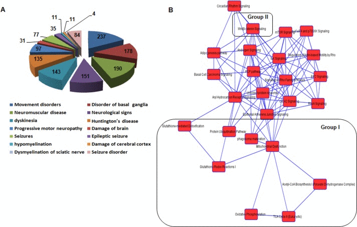 Functional categorization of neurological disease and network of canonical pathways objected by IPA using genes differentially expressed in the cochlea of Cmah-null mice