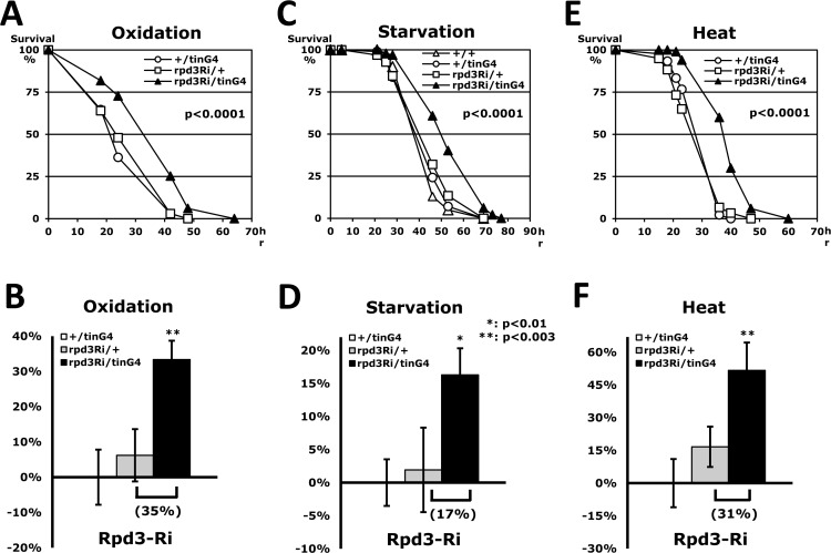 Stress resistance induced by heart-specific Rpd3 downregulation