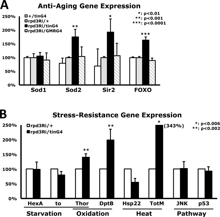 Changes in gene expression from heart-specific Rpd3 downregulation