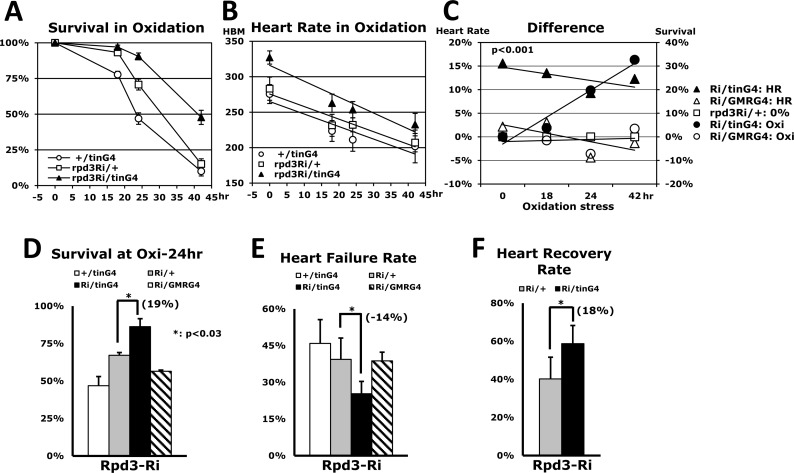 Overall heart function is enhanced by heart-specific Rpd3 downregulation