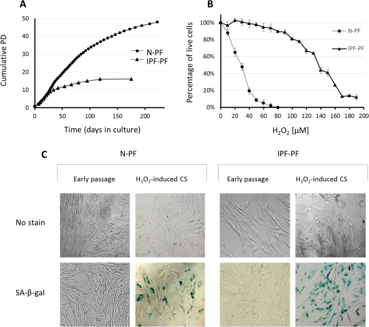 Growth curves and response to oxidative stress of IPF-derived and normal human pulmonary fibroblasts