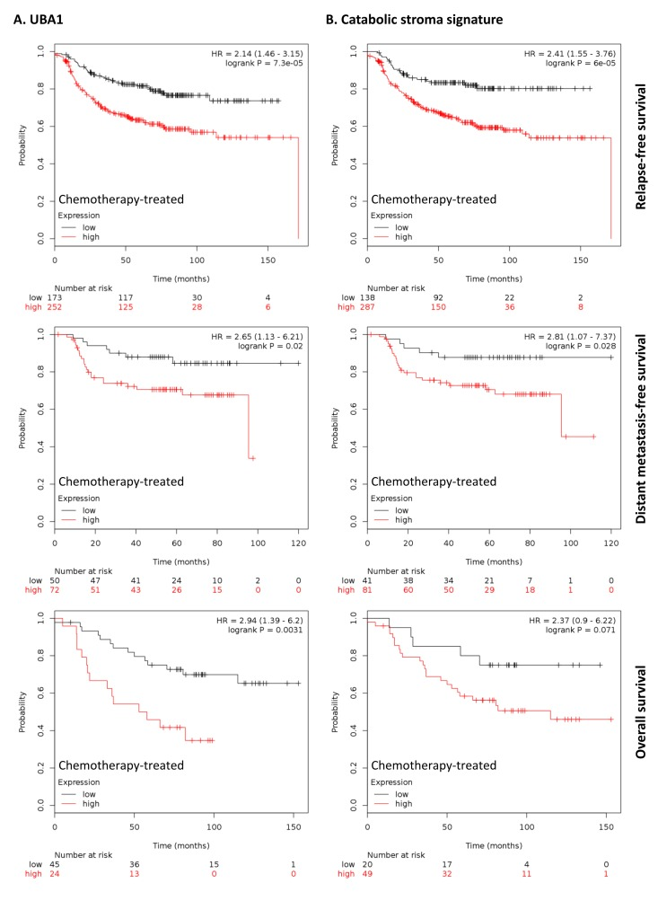 Clinical correlations of UBA1 expression and the UBA1, PSMC5, IGF2R, VAT1, HMOX1, CNN2, TLN1, GNPDA1, G6PD and FASN signature in chemotherapy-treated breast cancer patients