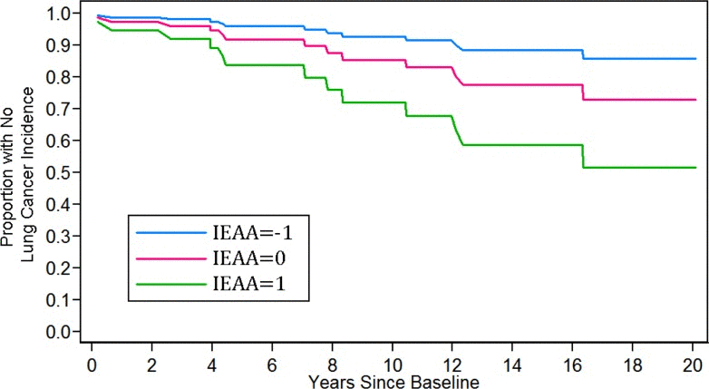 Kaplan-Meier curves for 20-year lung cancer incidence.