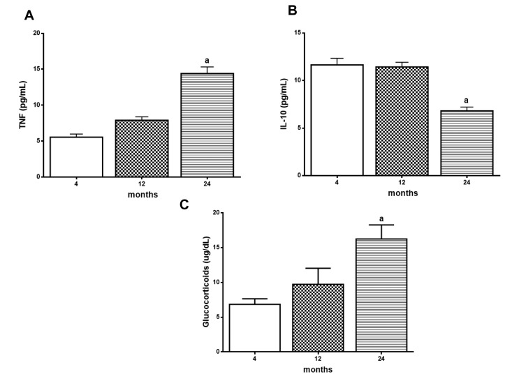 Age related changes in TNF‐α, IL‐10 and Glucocorticoid (GC) levels