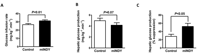 (A) Glucose infusion rate during the hyperinsulinemic-euglycemic clamp (HEC) is increased in mIndy ASO treated rats. (B) Trend for reduced hepatic glucose production during the HEC in the mIndy ASO treated rats. (C) Suppression of hepatic glucose production during the HEC was increased in mIndy ASO treated rats as compared to the control group. All data are mean ± SEM, N=10 for each group; significances by double sided t-test.