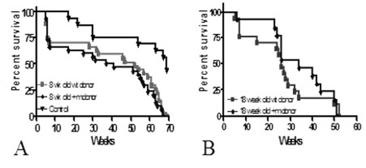 Long-term survival of C57Bl/6 recipients