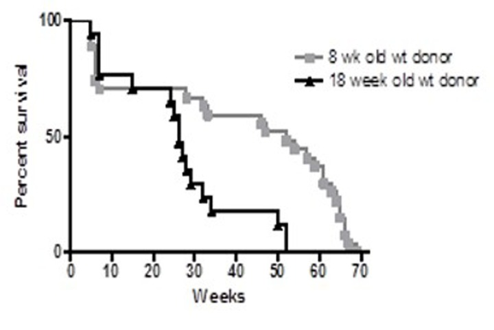 Survival proportions of irradiated C57Bl/6 female recipients