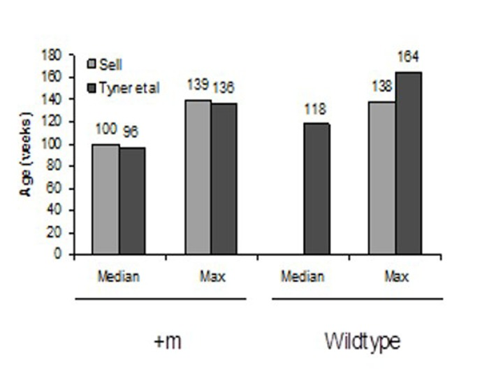 Mean and maximum lifespans of “Sell” and “Tyner et al” mice p53+/m and wildtype mice