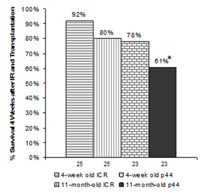 Survival 4-weeks post-irradiation and transplantation