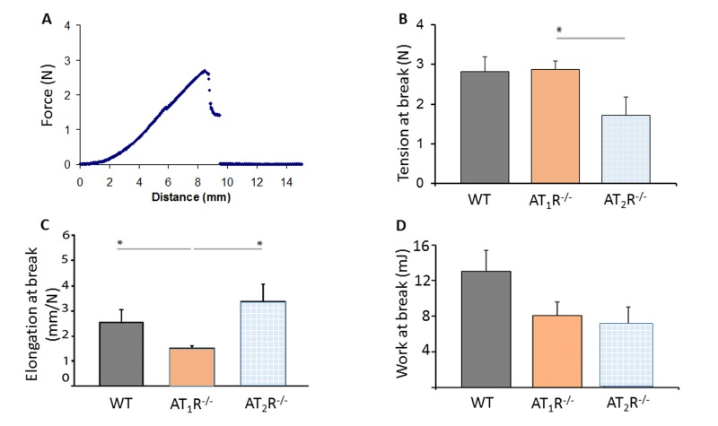 Biomechanical assessment of healed skin in WT, AT1R−/− and AT2R−/− mouse cohorts. (A) Sample representation of tension–elongation curve. (B) Comparison of the average tension at the breaking point of mice groups (mean ± SEM, n = 10; *P C) Average elongation at the breaking point of both groups (*P D) Average work at the breaking point of both groups (calculated from the integral of the curve; *P 