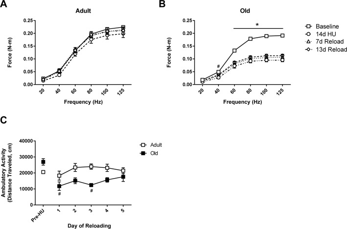 Force output and activity measures in adult and old rats