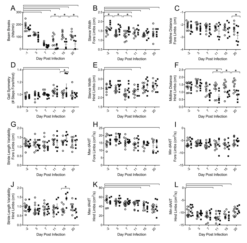 Influenza infection induced functional decrements in voluntary locomotor activity and gait kinematics that is more pronounced in the hind limbs and in the aged mice
