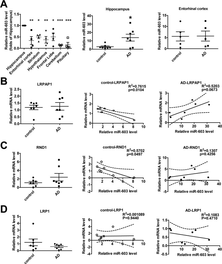 miR-603 exhibits a relatively higher expression in the hippocampi of patients with AD