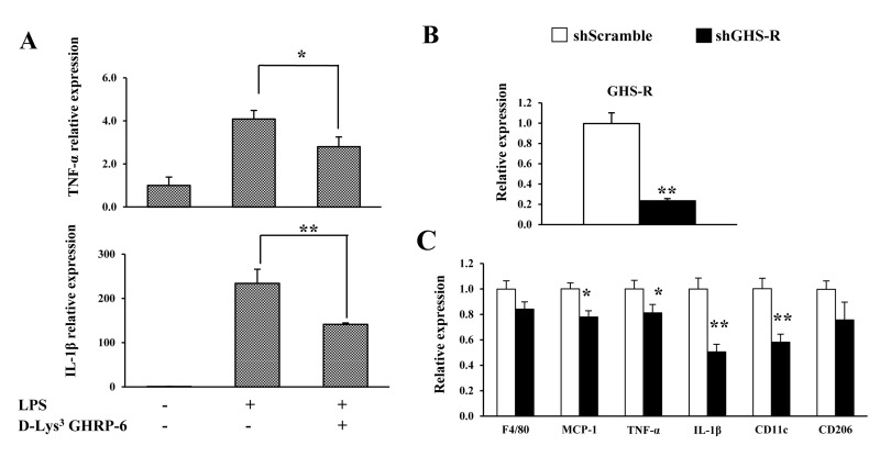GHS-R affects inflammatory responses in macrophages in vitro