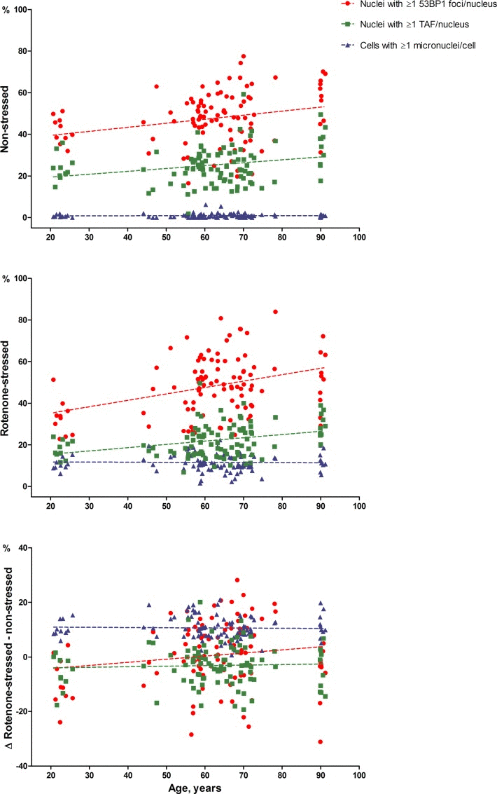 53BP1 foci, TAF and micronuclei dependent on chronological age