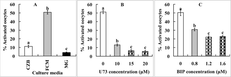 Ethanol activation rates after mouse oocytes collected 13 h post hCG were aged for 9 h in CZB, FCM or FCM containing 5-μM MG132 (MG) (Panel A) or different concentrations of PLC inhibitor U73122 (Panel B) or cytochrome c inhibitor B-IP3RCYT (Panel C). Each treatment was repeated 4 times with each replicate containing about 30 oocytes. a-c: Values without a common letter above their bars differ significantly (P 