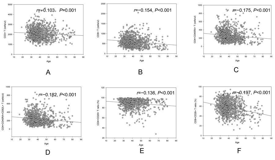 Age related change of CD3+ cell (A), CD3+CD8+ (B), CD4+CD45RA+ cell (C), CD4+CD45RA+CD62L+ cell (D), CD4+CD28+ /CD4+ (E) and CD8+CD28+/CD8+ (F).