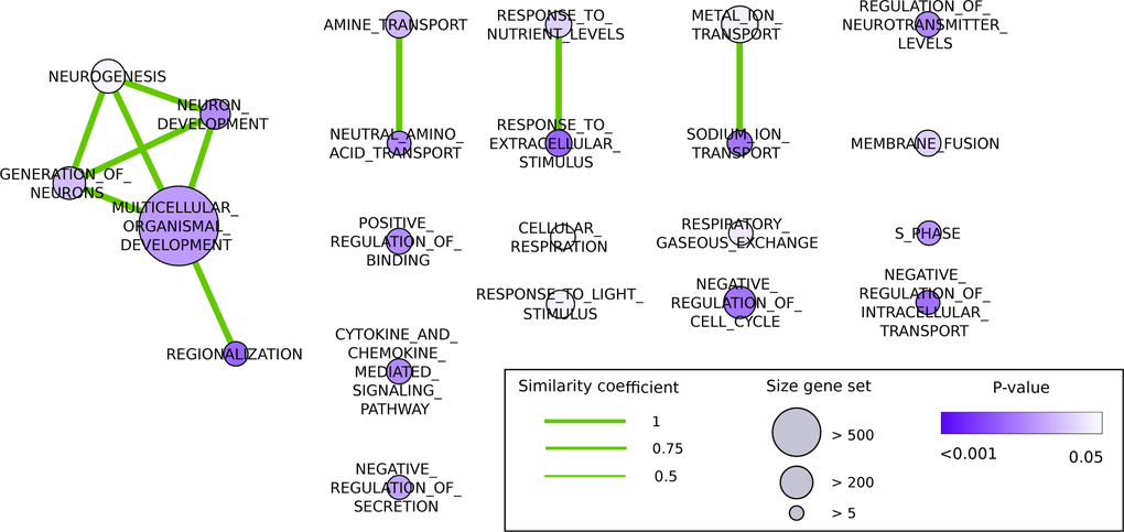 Significantly differentially regulated biological processes after three months of CR treatment, based on genes altered across CR, visualized as an Enrichment map (Cytoscape). The nodes represent biological processes, and edges represent overlap between genes in these processes. The color of the nodes represents the significance according to the p-value (white: p-value = 0.05, purple: p-value  0.5) between the nodes, derived from the overlap of the gene sets underlying the processes.