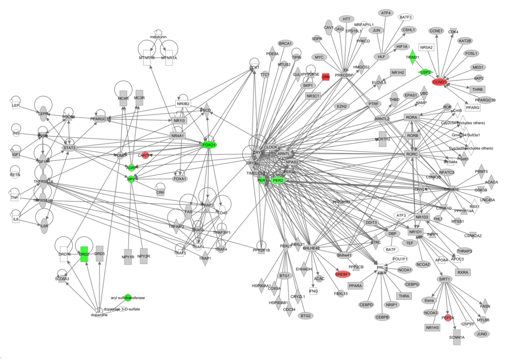 Genes involved in circadian rhythm pathway constructed in the IPA program colored according their correlation with circulating levels of tumor necrosis factor alpha (TNF-α). Red indicates a positive correlation coefficient while green indicates a negative correlation coefficient. Intensity of the color is related to the strength of the correlation.