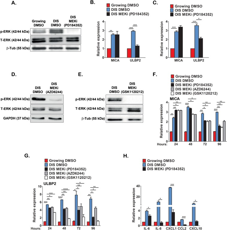 ERK activity regulates MICA and ULBP2 expression in DIS cells