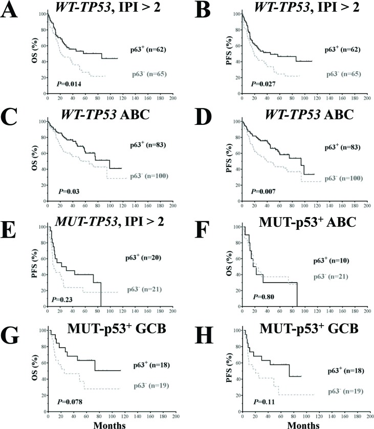 Prognostic analysis for p63 expression in DLBCL patients with wild- type and mutated TP53