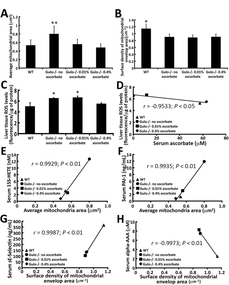 Correlation of mitochondrial morphology in the liver of Gulo−/− mice with different metabolites and cytokines with a r > 0.99 and a P-value < 0.01