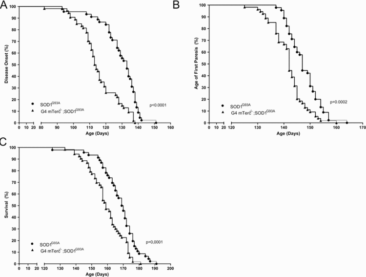 Telomerase deficiency affects disease course of SOD1G93A-transgenic mice