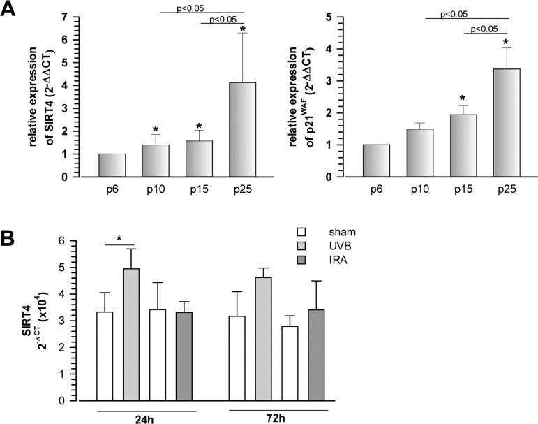 Increased expression of the mitochondrial sirtuin SIRT4 in human fibroblasts undergoing replicative or UVB-induced senescence