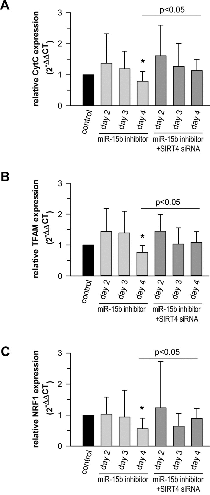The miR-15b - SIRT4 axis regulates the expression of nuclear encoded mitochondrial genes