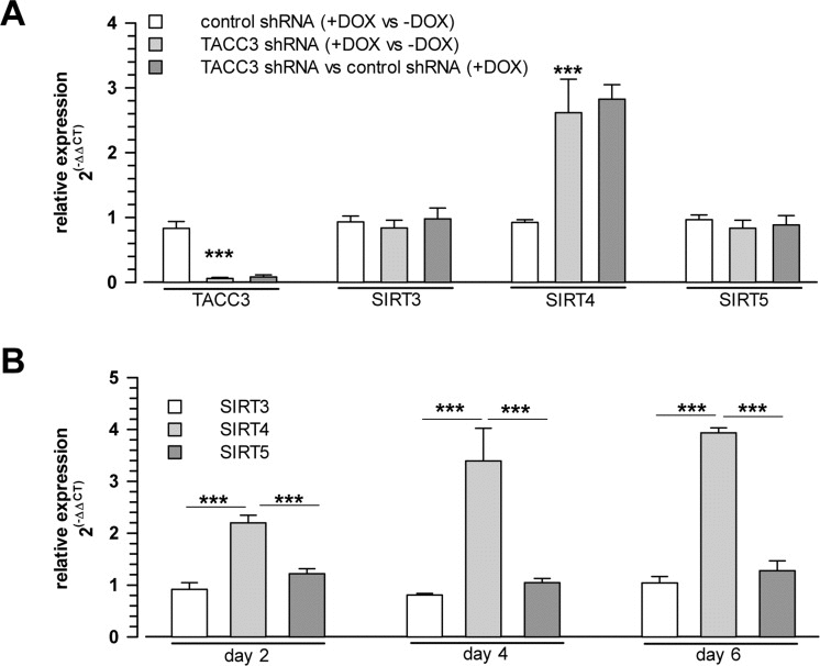 Selective upregulation of SIRT4 expression among the mitochondrial SIRT isoforms in cellular models of stress-induced premature senescence