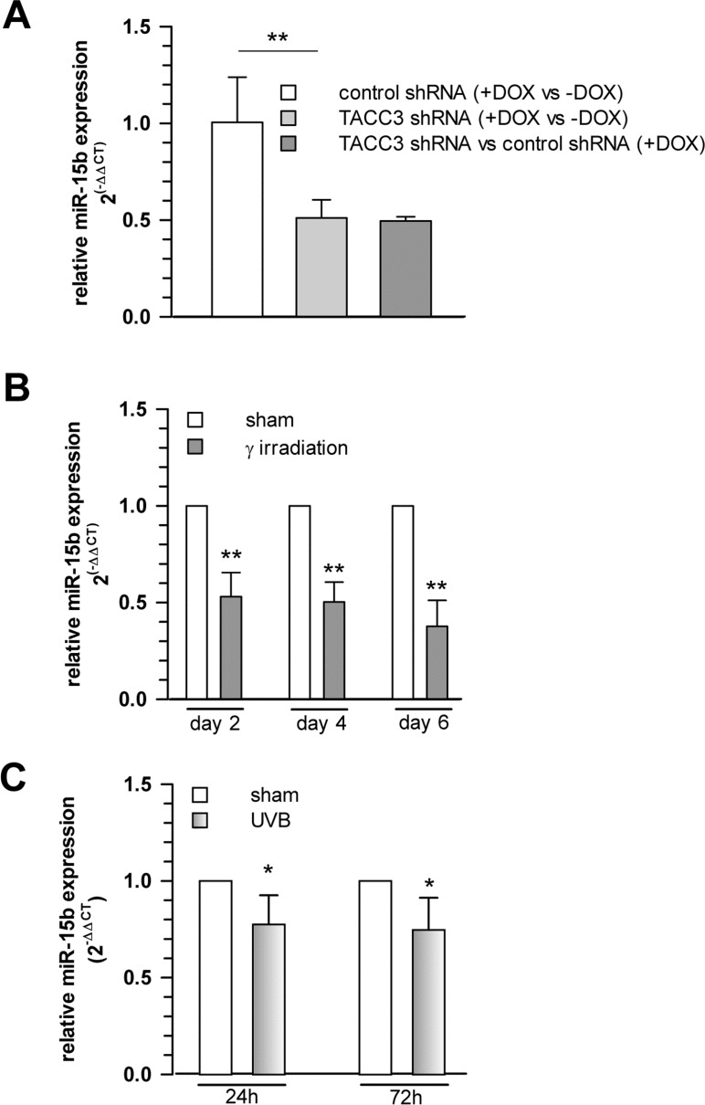 Cellular levels of miR-15b are decreased concomitant with upregulated SIRT4 gene expression in various aging models