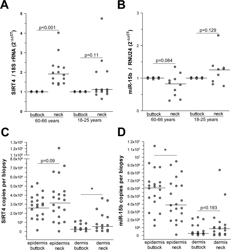 Increased SIRT4 expression is inversely associated with decreased miR-15b levels in human photoaged skin