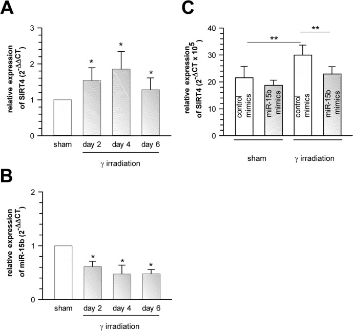 Suppression of senescence-associated SIRT4 upregulation in γ-irradiated primary human dermal fibroblasts by oligonucleotides mimicking the function of endogenous miR-15b