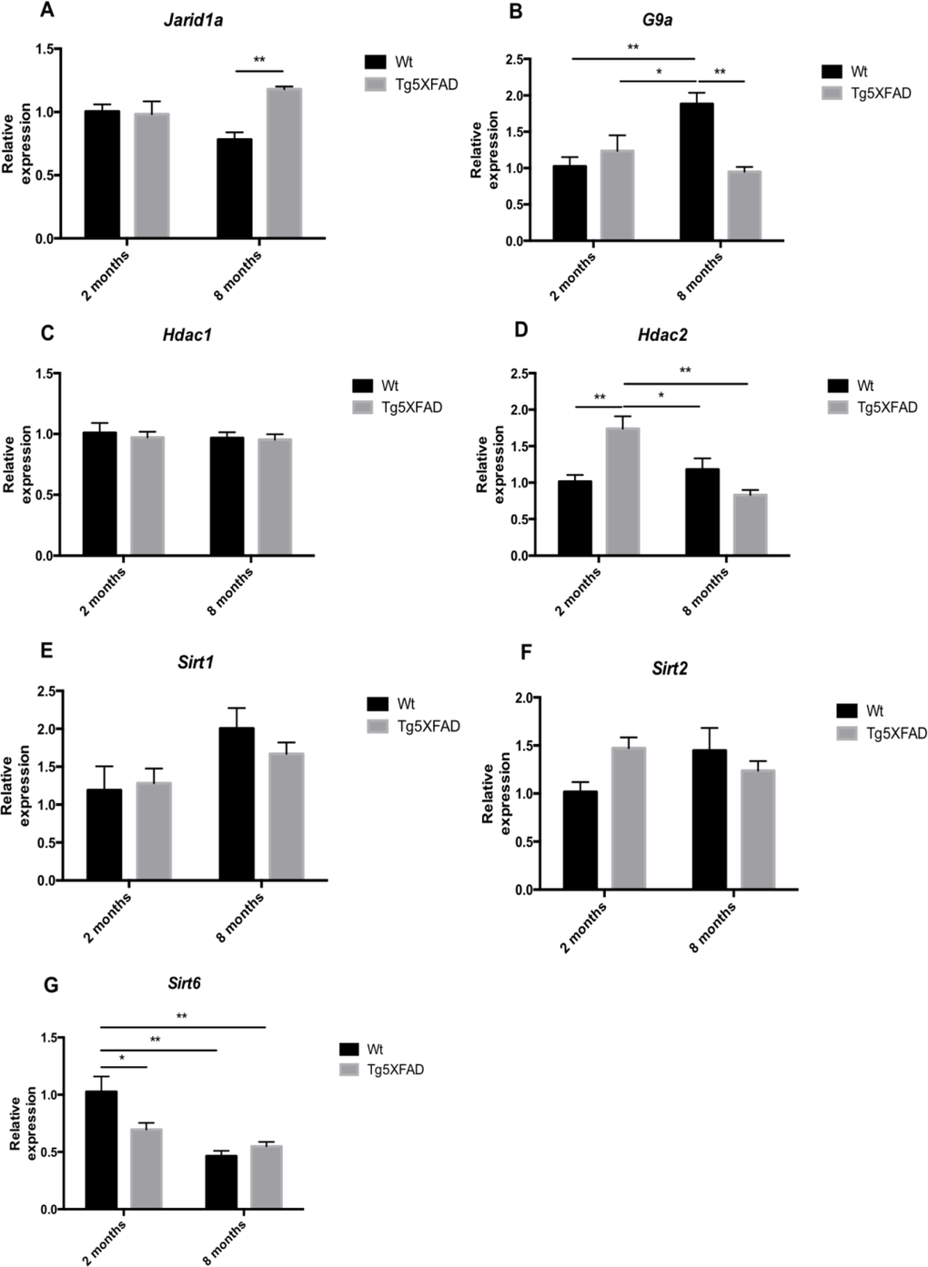 Gene expression for Jarid1a (A), G9a (B), Hdac1 (C), Hdac2 (D), Sirt1 (E), Sirt2 (F), and Sirt6 (G) in female mice aged 2 and 8 months (Wt and 5XFAD). Gene expression levels were determined by real-time PCR. Mean ± Standard Error of the Mean (SEM) from five independent experiments performed in triplicate are represented. *p