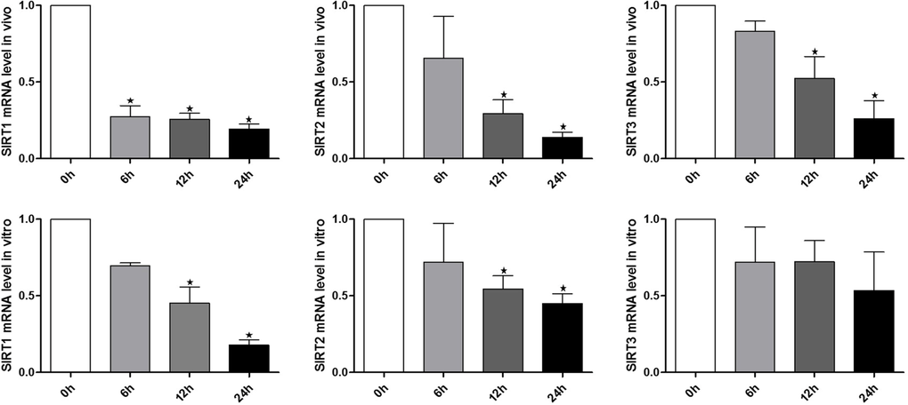 Expression of SIRT1, 2, 3 during oocyte aging